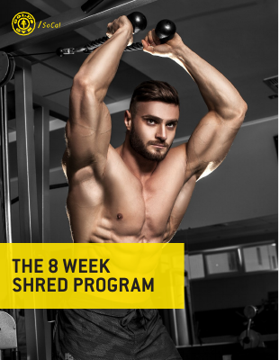 8 week shred ebook