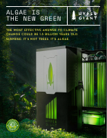 algae_is_the_new_green.pdf