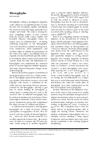 Hieroglyphs.pdf