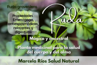 RUDA.pdf