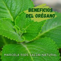 oregano_compressed.pdf