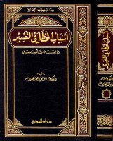 أسباب_الخطأ_في_التفسير_دراسة_تأصيلية.pdf