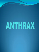 Anthrax.pdf