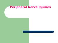 PERIPH~1.pdf