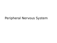 PNS.pdf