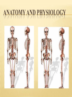SPINAL~1.pdf