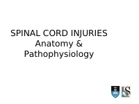 SPINAL~2.pdf