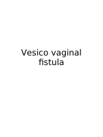 VESICO~1.pdf
