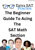 1.01 Beginners Guide.pdf - dirzon