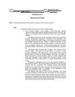 656500847-WEEK-7-LAB-EXERCISE-Muscular-System.pdf