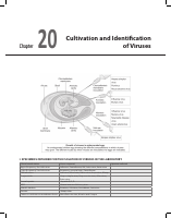 UpasanaBhumbla_Ch-20.pdf
