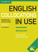 English_collocations_in_use_advanced.pdf