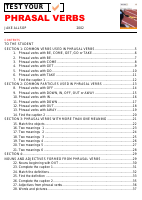 Test_Your_Phrasal_Verbs.pdf