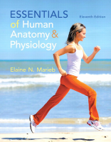 2015_Essentials_of_Human_Anatomy.pdf