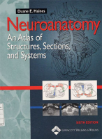 Neuroanatomy__An_Atlas_of_Struct.pdf
