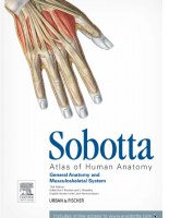 Sobotta_Atlas_of_Anatomy_Vol_1_and.pdf