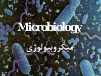 biotech-microbiology.pdf