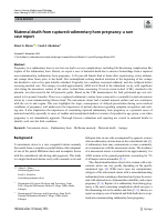 Publishedarticle.pdf
