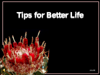 tips_3-1.pdf