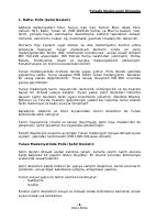 Felsefi_Dusuncenin_Olusumu.doc