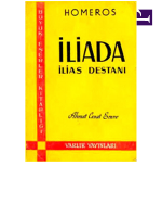 Homeros_-_Ilyada.pdf