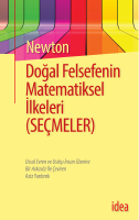 idea_NEWTON_dfmi_1-20.pdf
