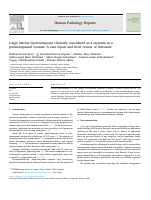 HPR300820.pdf