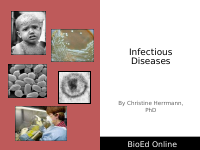 43.ppt