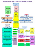 4_6019130063839037682.pdf