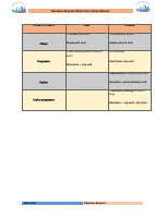 TakrorlashInglizEnglish.pdf