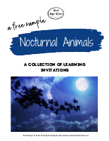 NocturnalAnimalsInvitationCollectionSampler.pdf