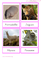 animales-de-sudamc3a9rica-letra-ligada.pdf