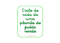 ciclo_de_vida_de_una_planta_de_judc3ada_verde_librito_para_taller.pdf