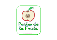 partes-de-la-fruta-librito-para-taller.pdf