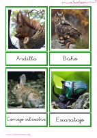 tarjetas-animales-del-bosque-letra-ligada.pdf