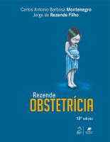 rezendao13.pdf