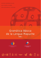 2006ConadiGramatica.pdf