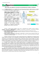 1_5073700095749259392.pdf