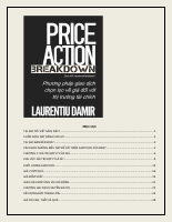 Price_Action_Breakdown-Laurentiu_Damir.pdf