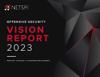 offensive_sec_vision_report.pdf