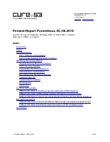 pentest-report_prometheus.pdf