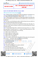 Bai_1__linked.pdf