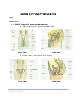 INTEGRATED__SCIENCE_8_&_9_FINAL.pdf