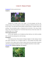 5_6080031768088412686.pdf