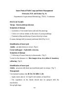 5_6307430353468391798.pdf