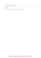 Cut-flowers-production-pdf-agrilearner.pdf
