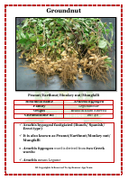 DOC-20240708-WA0008..pdf