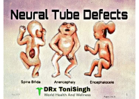 NTDs.pdf