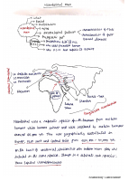 neanderthals.pdf