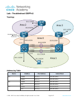 8.1.2-lab---troubleshooting-ospfv2.pdf